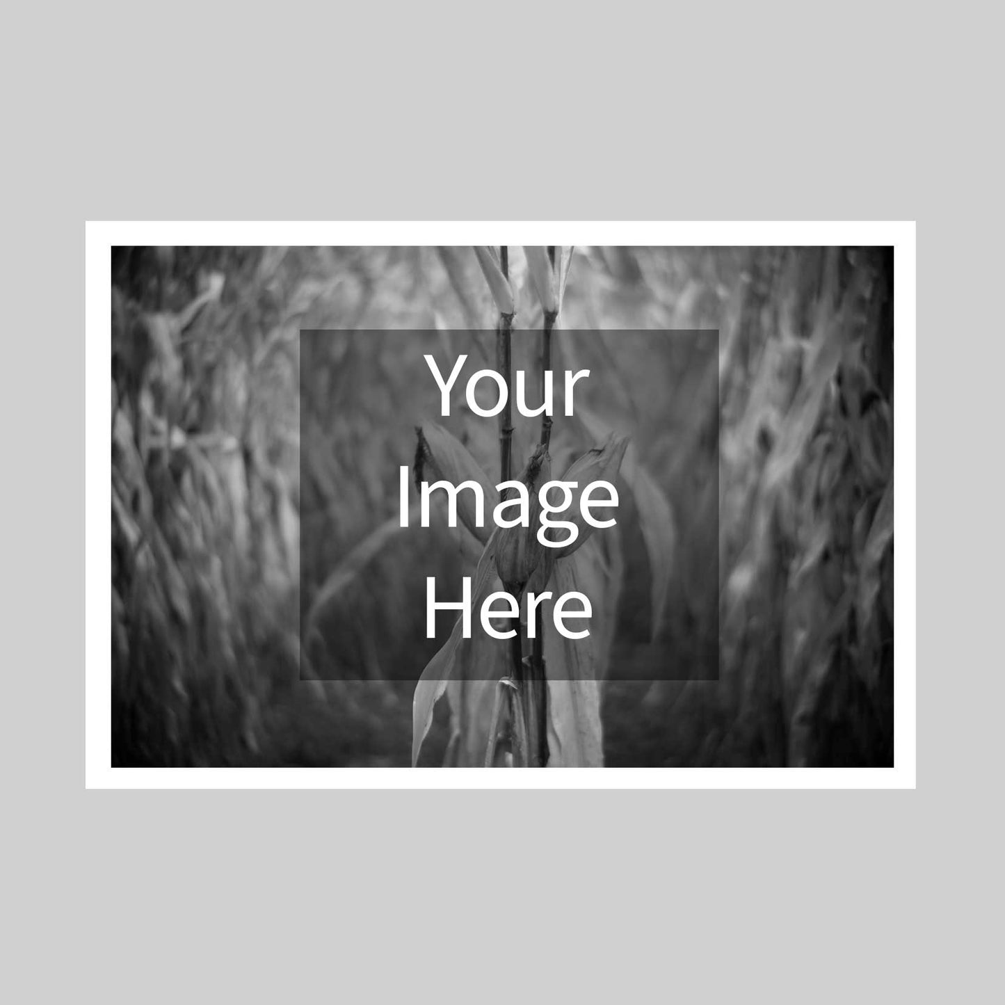 13x19 Piezography Multi-Tone Print