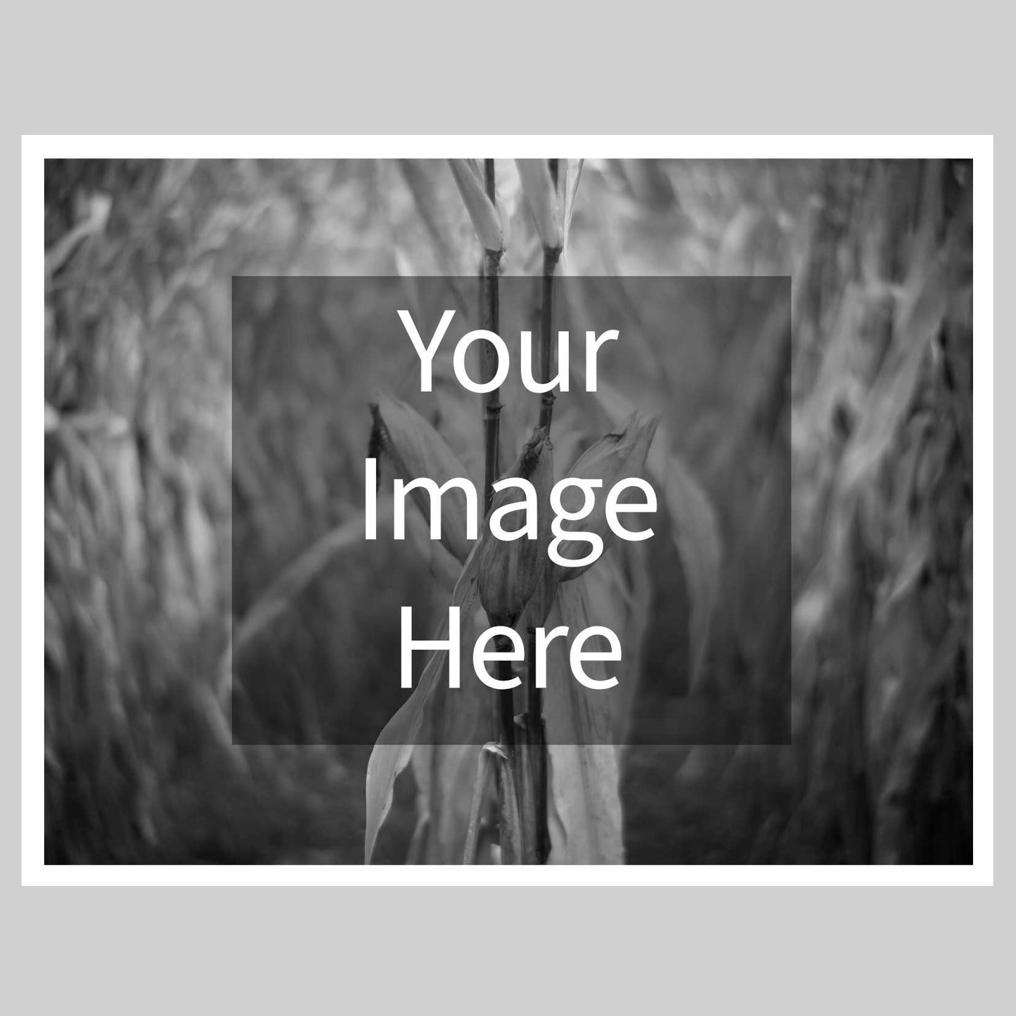 17x22 Piezography Multi-Tone Print
