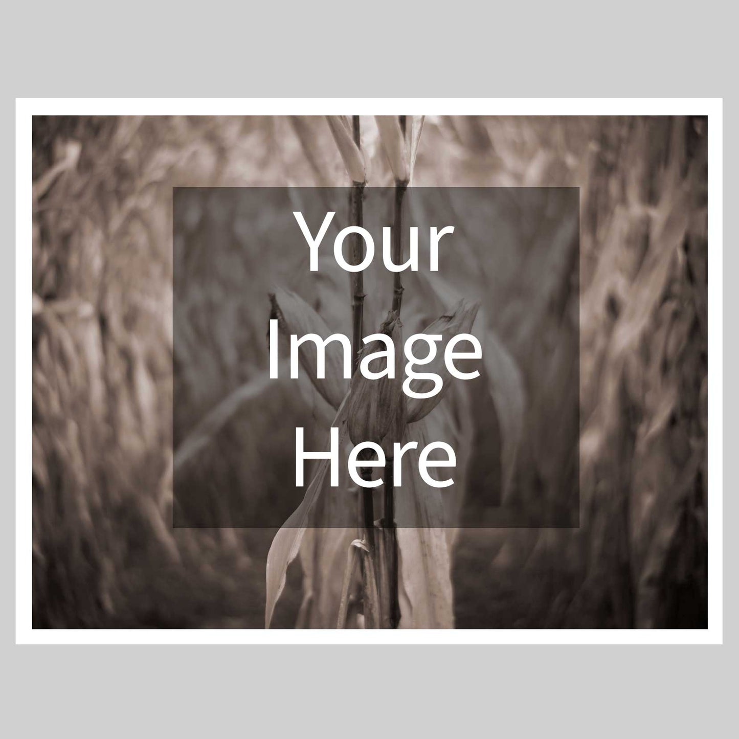 17x22 Piezography Carbon print