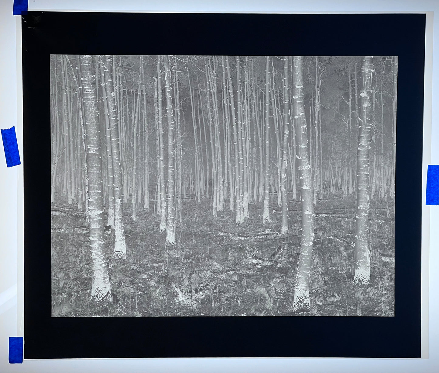 8x10 Piezography Digital Negative